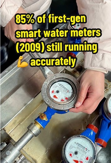 Proven Reliability of Smart Water Meters Over 19 Years