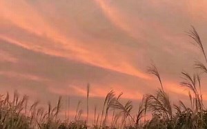 【化学演示】加了氧化剂的铝热剂燃烧时会是什么样的呢？