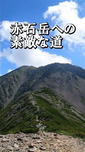 南アルプスの赤石岳への登山道が素敵すぎます。 #絶景 #登山 #百名山