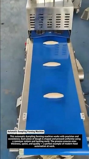 Automatic Dumpling Forming Machine | High-Speed Food Production Line