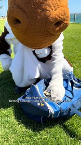 On the road to get bigger moo-sles, powered by Masters Protein 🐮💪 #MastersMilk #WAMade | Masters