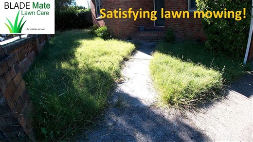 Watch This Tall Grass Get Mowed Down – Australia Lawn Care