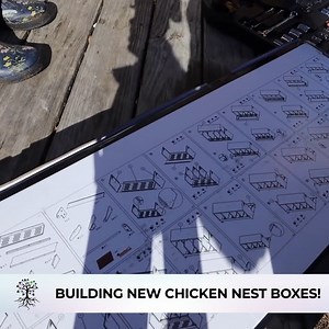 6.3K views · 67 reactions | Building NEW Chicken Nest Boxes! | Abundant Permaculture | Facebook