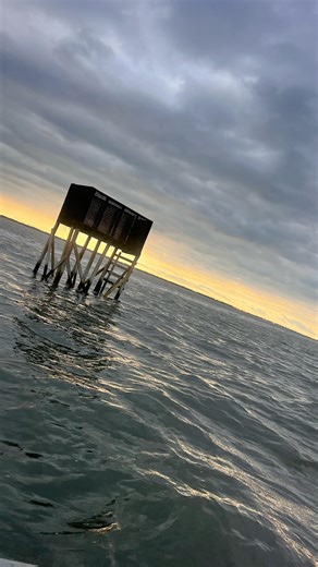 CHESAPEAKE Bay Duck hunting January 2026 🦆🦀 #chesapeake #duckhunting