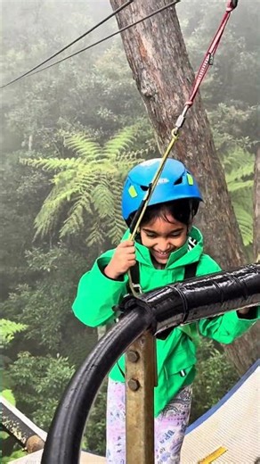 Treetops Adventure near Sydney #treetops #zipline #illawarrafly #flytreetopadventure
