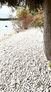 Disclaimer out the gate. The OSB we tested was not Huber as we didn’t know if there was any structural value added by the green paint. We tested standard 7/16” OSB that was off the shelf. ICC-ES did the racking test. My story goes all the way back to 1982 when the price of plywood now went to over $5 a sheet. Imagine that. Nobody could afford $5 a sheet. So people started using chip board and started using buffalo board known as builtrite, but those products back then didn’t have enough structur