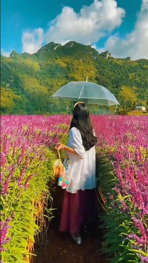 📍 Most Beautiful Places in the World 🌍 #worldexplorer #travel #mountains