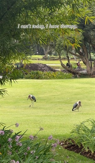 The Fairmount Mt. Kenya Safari Club is so therapeutic! Take a trip up to Nanyuki and experience the magic. #MagicalKenya #FairmountMtKenyaSafariClub #MtKenya #Therapy #wellness | MagicalKenya