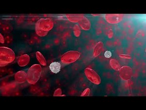 Red and White Blood cells Animation