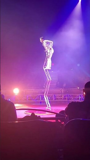Unbelievable Circus Balancing Performance! 🎪