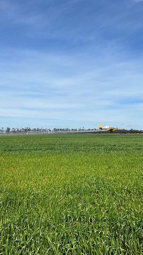 4.2K views · 62 reactions | We had a lot going on today with two planes, two sp sprayers and two fence line sprayers going. We had to make the most of the sunny spring weather ☀️ | Bingham Agriculture | Facebook