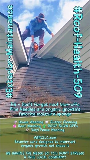 #SurfaceScience🧠 WHAT YOU SEE Dark streaks and green film are signs of active organic growth.