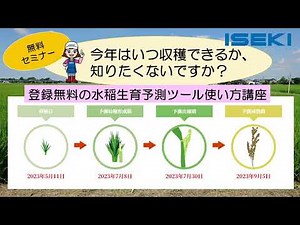 水稲の生育予測が無料でできる？？ 生育予測の活用法を詳しく解説