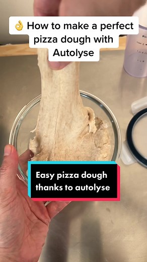 Easy Autolyse Pizza Dough Recipe | Italian Pizza Making Tutorial