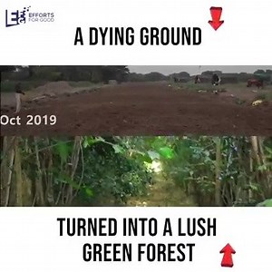 Most innovative climate action project you have been looking for: https://bit.ly/3QTc8Rh | EFG - Efforts For Good