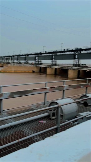 Mudy tu haliyaa chakaa tho lawain😂👀#sindhiya #foryou #trending #fyp