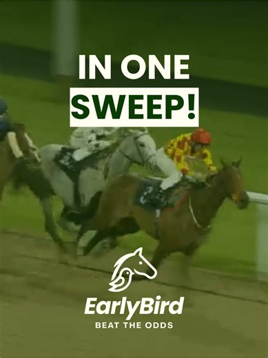 Exciting Horse Racing Action at Wolverhampton