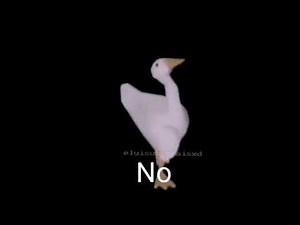 no dancing duck meme