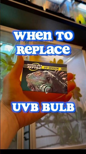 World's Easiest UVB Check (Turns Purple!)