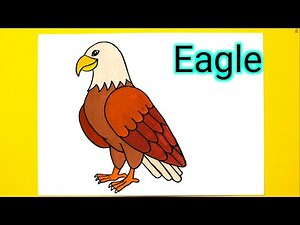 How To Draw a Bald Eagle - White Headed | Eagle Drawing Easy | All Real Draw