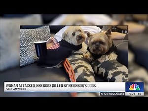 Owner of 2 dogs mauled to death in Chicago suburb recounts attack