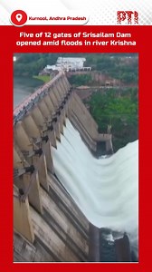 1.3K views | The flooding in river Krishna has increased enormously...