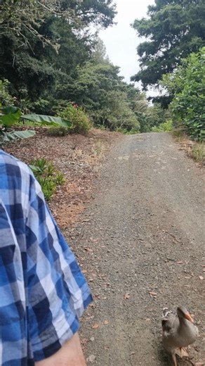 life down on the farm | Hugh Rose