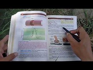 class 12 Biology CH 17 coordination and control important short and long Questions PTB||