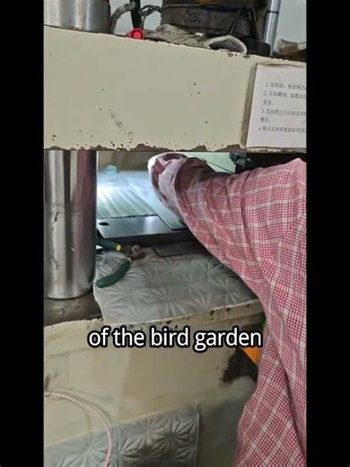 The application of stainless steel 316 zoo bird aviary mesh