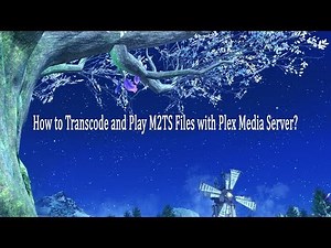 How to Transcode and Play M2TS Files with Plex Media Server?