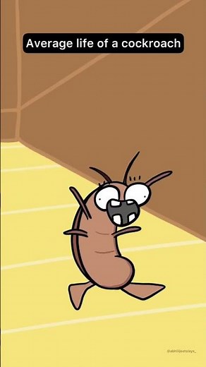 The Life Cycle of a Cockroach