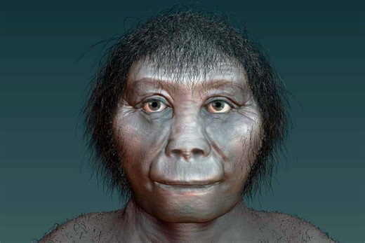 Modern humans unfairly blamed for extinction of Indonesia’s ‘hobbits’, scientists say