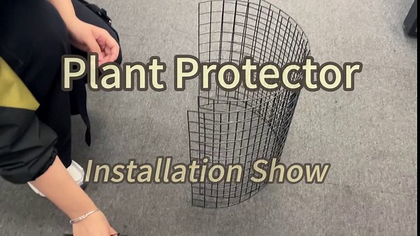 10 Pack Metal Plant Protector, Metal Plant Protection Cages (13" Diax14.2H) to Keep Animals Out, for The Garden Protection of Flowers, Saplings, Fruits Vegetables, Black