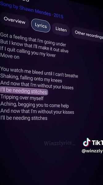 Lyrics to 'Stitches' by Shawn Mendes