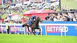 How Many Horses Have Won The English and Irish Derby?