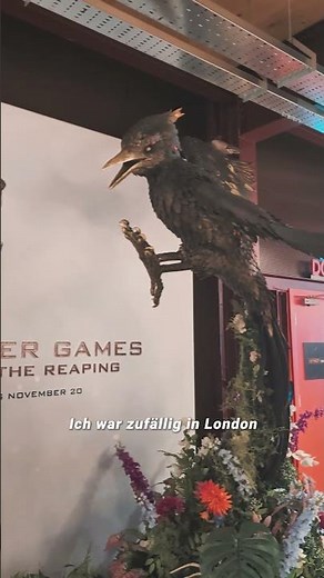 Panem SUNRISE ON THE REAPING Flower Installation🏹 Ich war da 😱