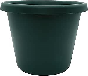 24 inch Round Classic Planter - Large Plastic Plant Pot for Indoor Outdoor Plants Flowers Herbs, Evergreen