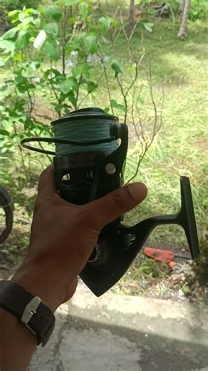 shimano fishing gear.