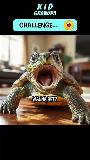 Turtle Challenge Meme 🤣 #shorts #funnypets #animalmemes