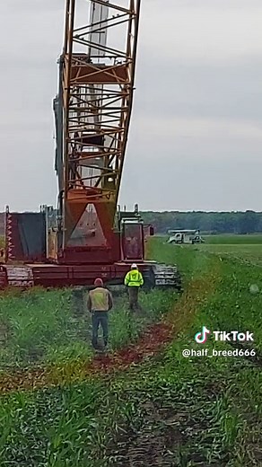 half_breed (@half_breed666)’s videos with original sound - half_breed