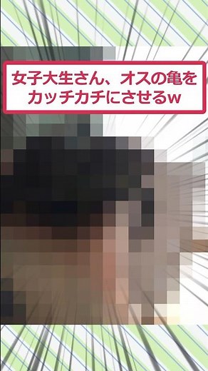 女子大生さん、オスの亀をカッチカチにさせるww #2ch面白いスレ #2ch #5ch #shorts