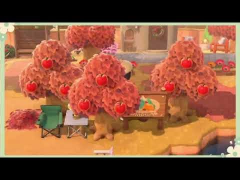 ACNH | Simple Beach Build Ideas