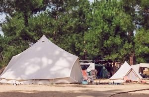 Family surf camp