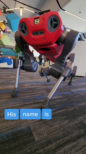 Meet ANYmal: The Intel Robotics Cutie