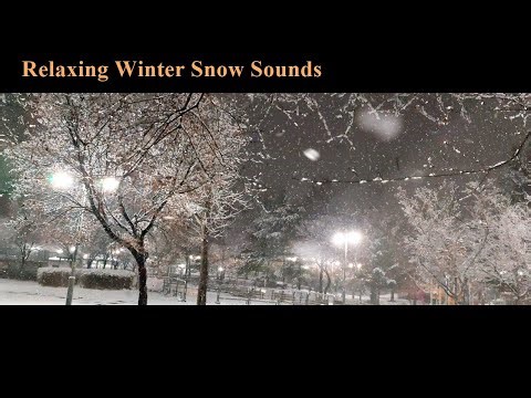 A relaxing nature ASMR of snow falling on bare tree branches in the middle of winter.
