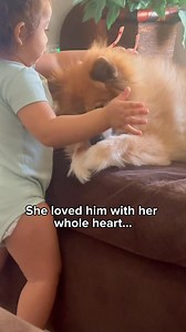 5K views · 2.4K reactions | Create custom pillows from ANY photo — loved ones, pets, kids, inside jokes, and more! 﫶  Custom-shaped pillow from any photo  Personal, thoughtful, unforgettable  Soft, vibrant, premium quality  FREE & FAST Shipping (Made within 24hrs) ❤️ Loved by over 2 MILLION happy customers (seriously!) For a limited time - Buy 2 Custom Pillows, Get 1 FREE  Don’t miss your chance to gift a one-of-a-kind memory! | All About Vibe | Facebook