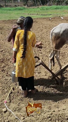 महाराष्ट्राच खिल्लार सोन