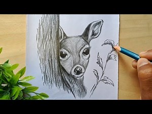 Pencil Sketch Deer Drawing || How To Draw a Deer With Pencil || Animal Drawing Tutorial Step-by-Step