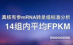 14 组内平均FPKM计算---真核有参mRNA转录组标准分析