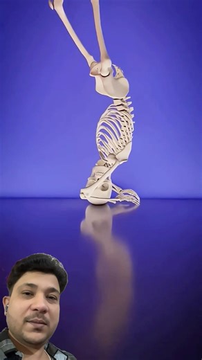 🤢Only its skeleton was found🥹#shorts #shortsfeed🙄#viral #facts🤥